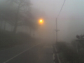 nebbia